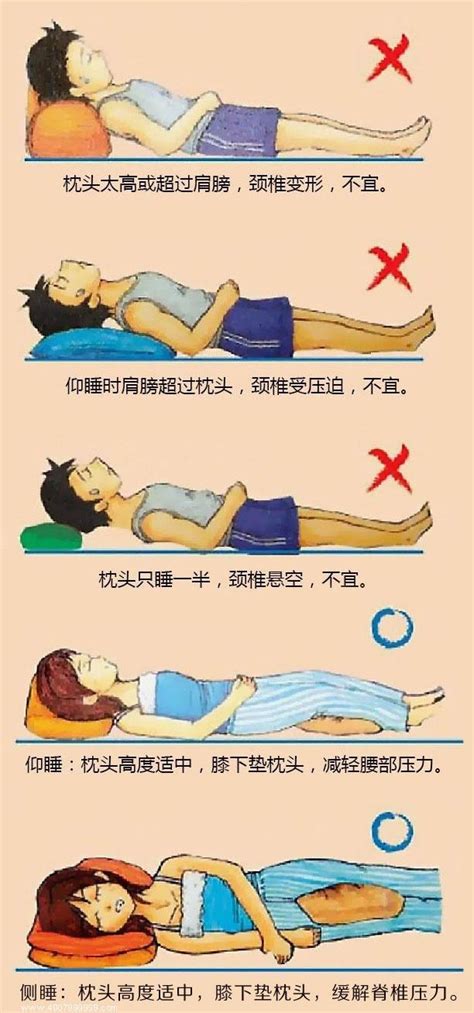 睡兩個枕頭|為什麼「兩顆枕頭」是你睡眠的最佳搭檔？ 